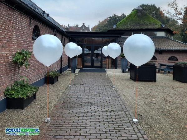 genetisch rietje Intentie Gronddecoratie Mega Ballon kopen? Broekiesverhuur in Bunnik