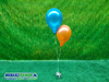 Gronddecoratie 2 Ballonnen