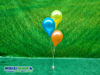 Gronddecoratie 3 Ballonnen