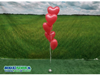 Gronddecoratie 5 Hart Ballonnen