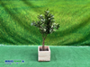 Kunst Ficus Liana 1.3 meter