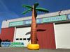 Palmboom-6-meter-Opblaasbare-Eyecatcher-Huren-Verhuur-Blikvangers