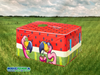 Softplay Set Flamingo Hawaii