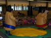 Sumo Worstelen Volwassenen