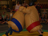 Sumo Worstelen Volwassenen