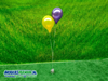 Tafeldecoratie 2 ballonen