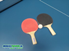 Tafeltennis Tafel INDOOR Compleet