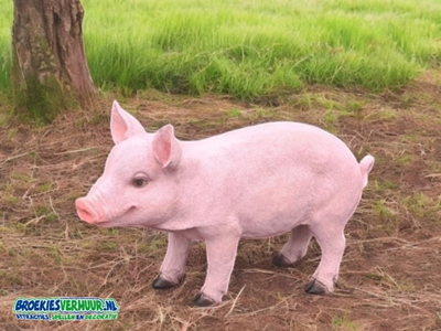Decoratie Beeld Varken