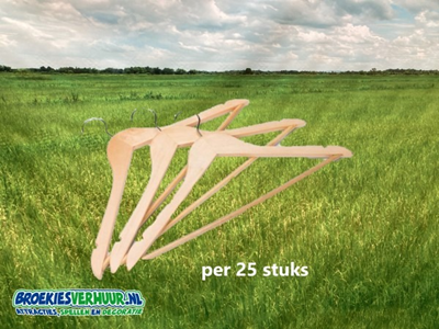 Kleding Hangers (25 stuks)