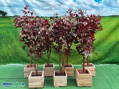 Kunst Ficus Groen-Rood 1.9 meter