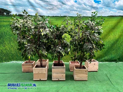 Kunst Ficus 1.7 meter