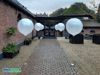 Gronddecoratie Mega Ballon standaard