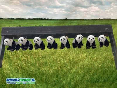 Stokken Vangen Elektrisch Red de Panda