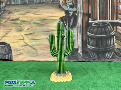 Thema decoratie Beeld Cactus 1