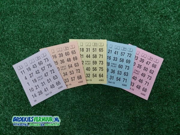 Bingo Kaarten 100 stuks