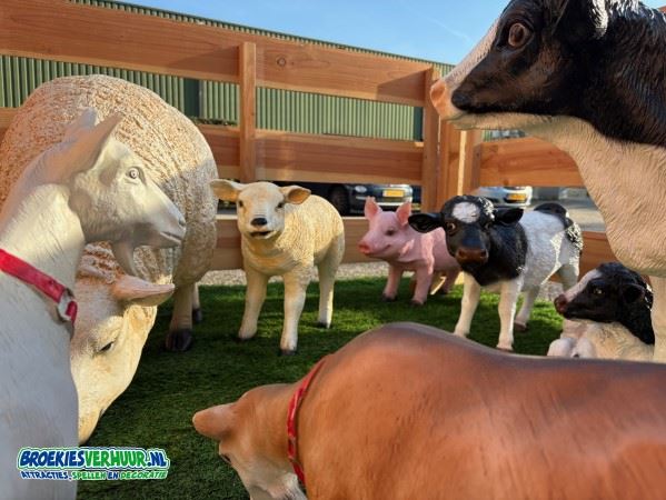 Decoratie-Kinderboerderij-op-locatie-Broekiesverhuur.nl