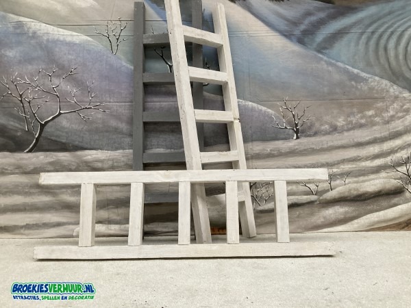 Decoratie Ladder Wit of Grijs