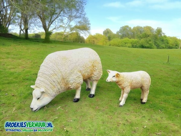 Decoratie Schapen set van 2 stuks